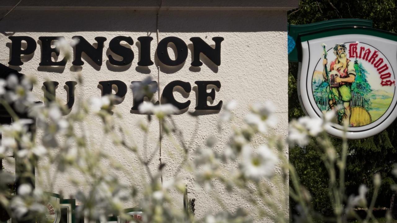 Pension U Pece Pec pod Snezkou Ngoại thất bức ảnh